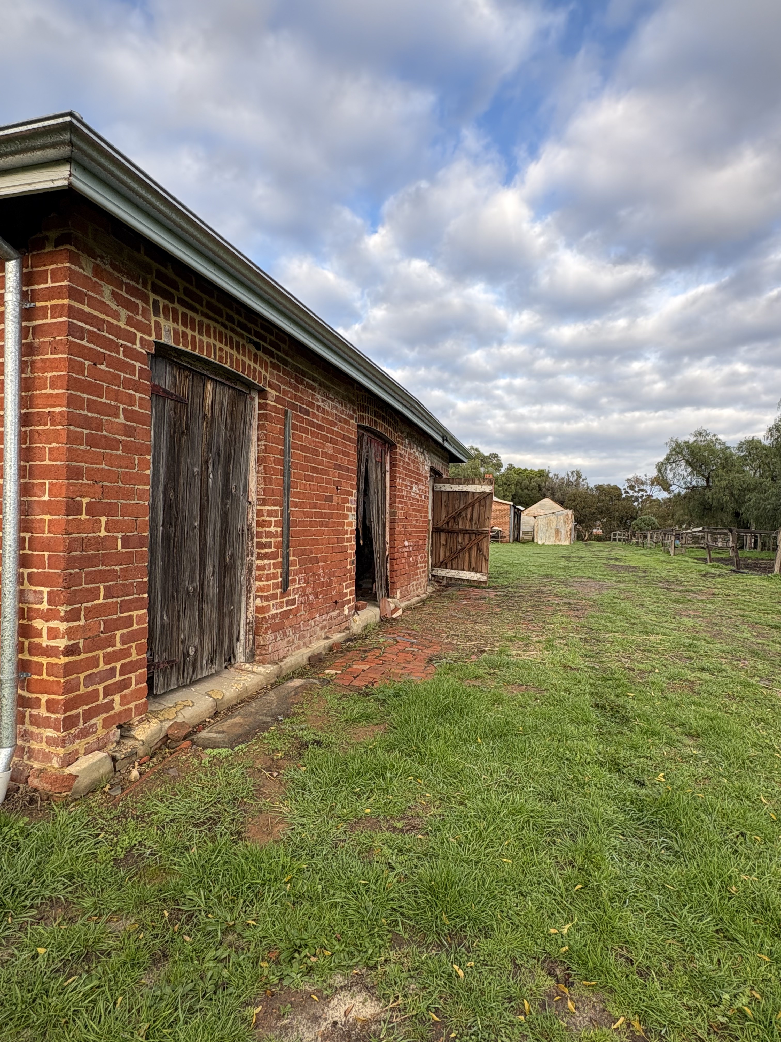 The brick path beside the dairy shed, as found in 2026