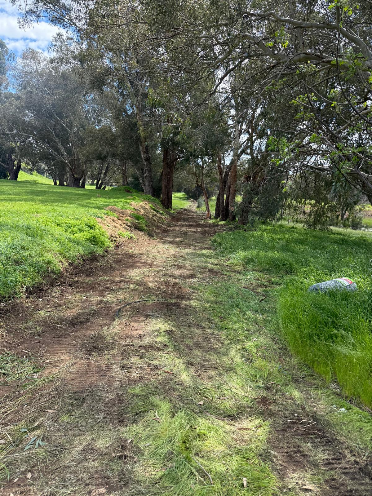 A quiet tree-lined laneway through the grounds at Guildford Farm