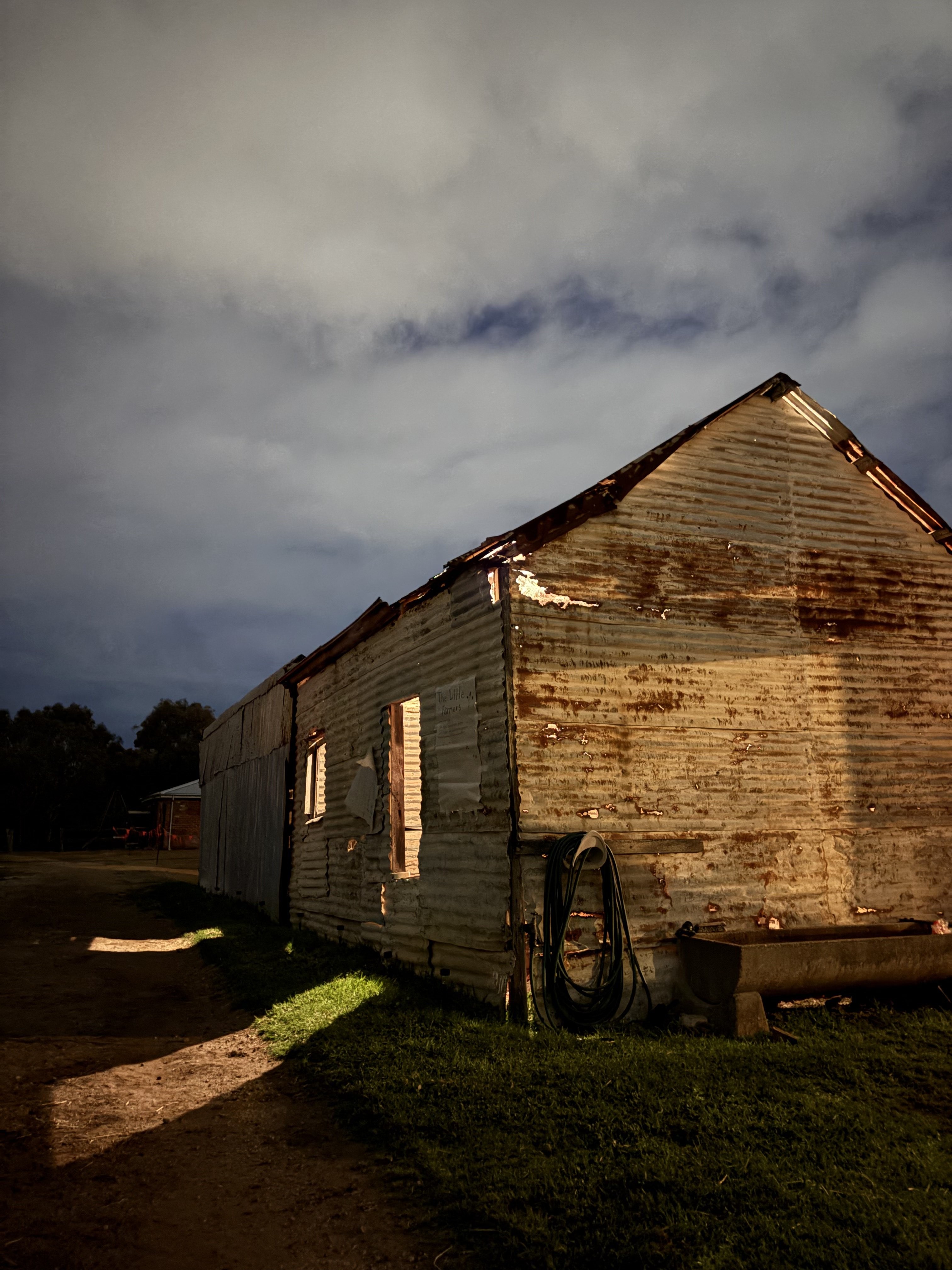 The corrugated iron tin shed at Guildford Farm at dusk