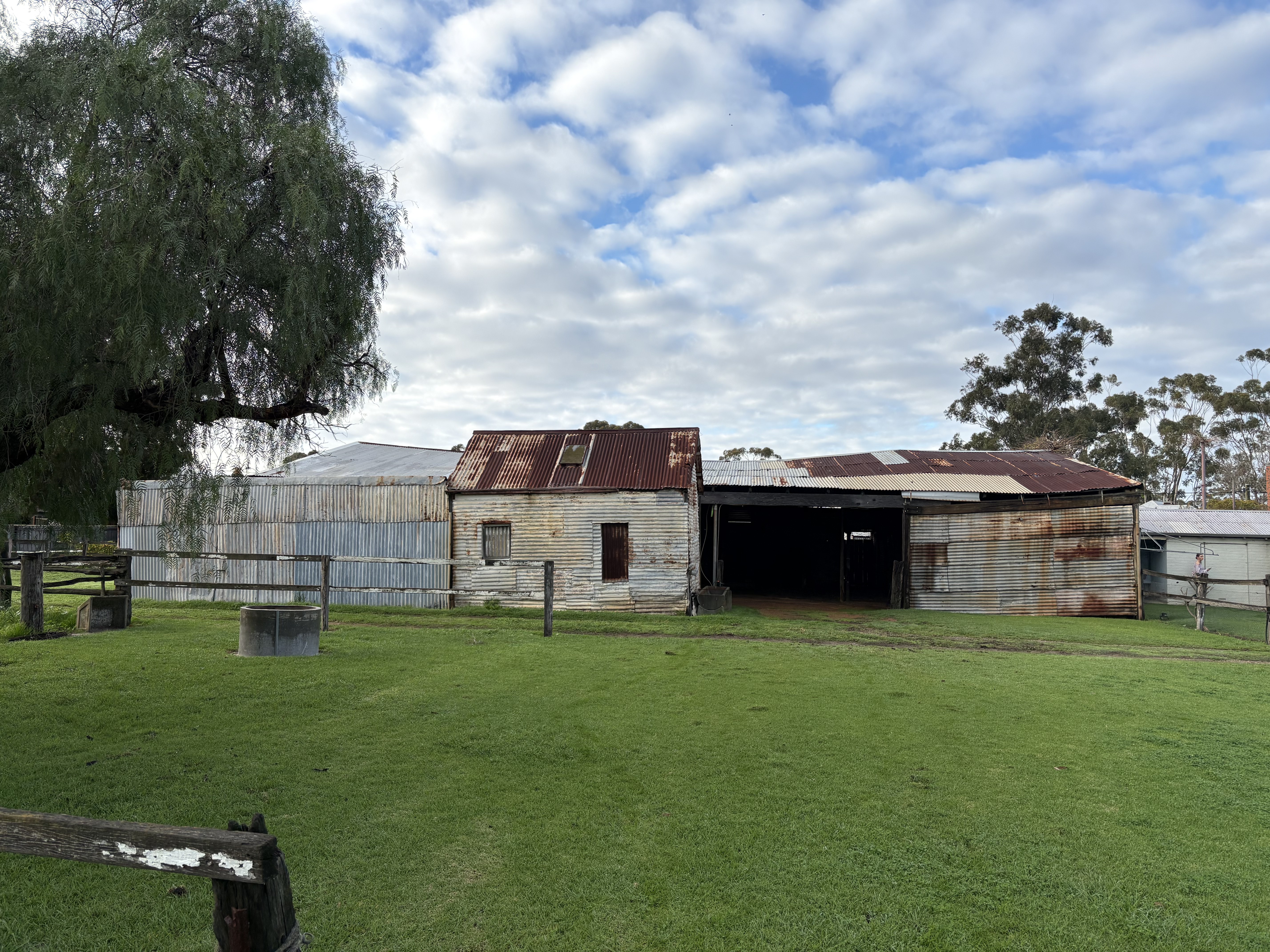 The tin shed exterior, before any clearing